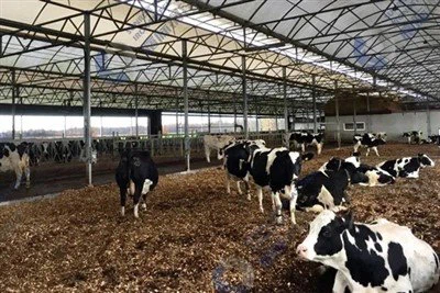 Stål moderne kumbygning